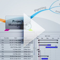 Project View